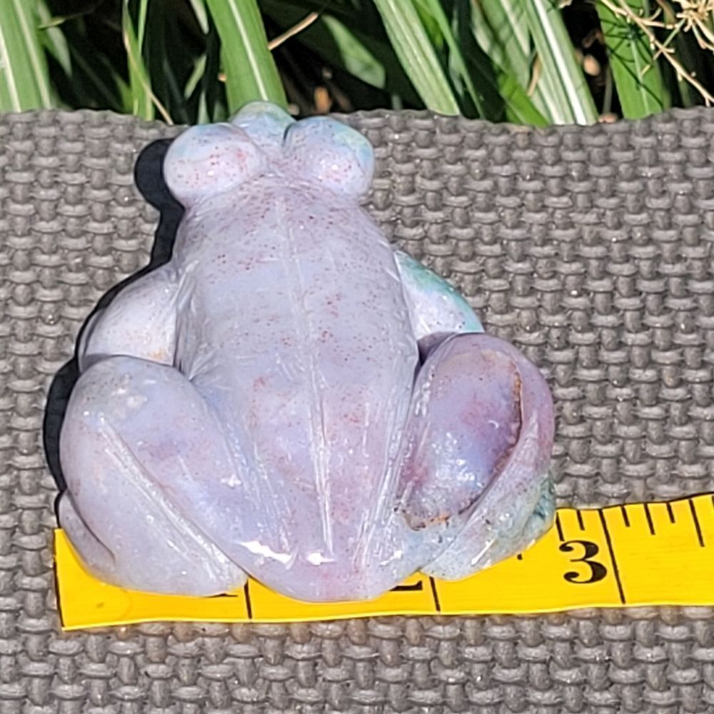 Ocean Jasper Frog - Picture 9 of 10